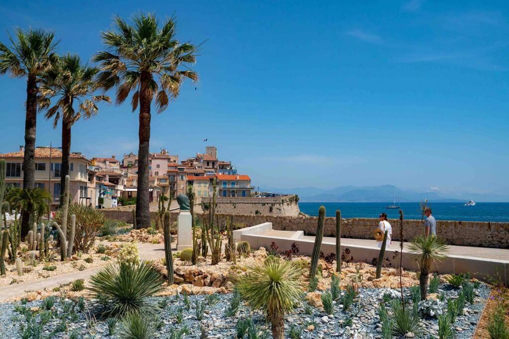 Apartmán Cosy 3 Pieces Vieil Antibes Proche Port Vauban Exteriér fotografie